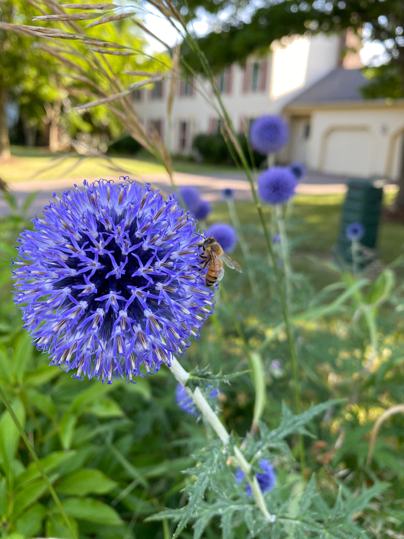 "Slow nature"—a great way to experience the outdoors
