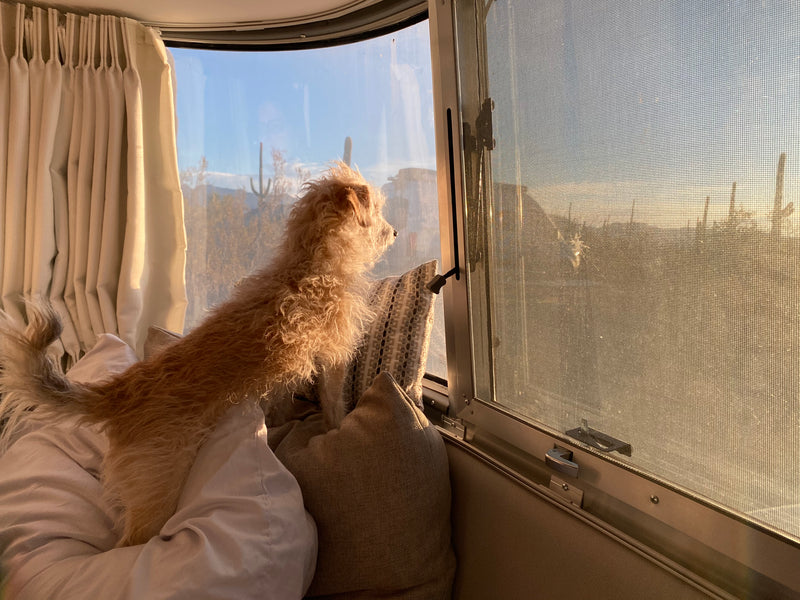 What I learned on my first boondocking trip