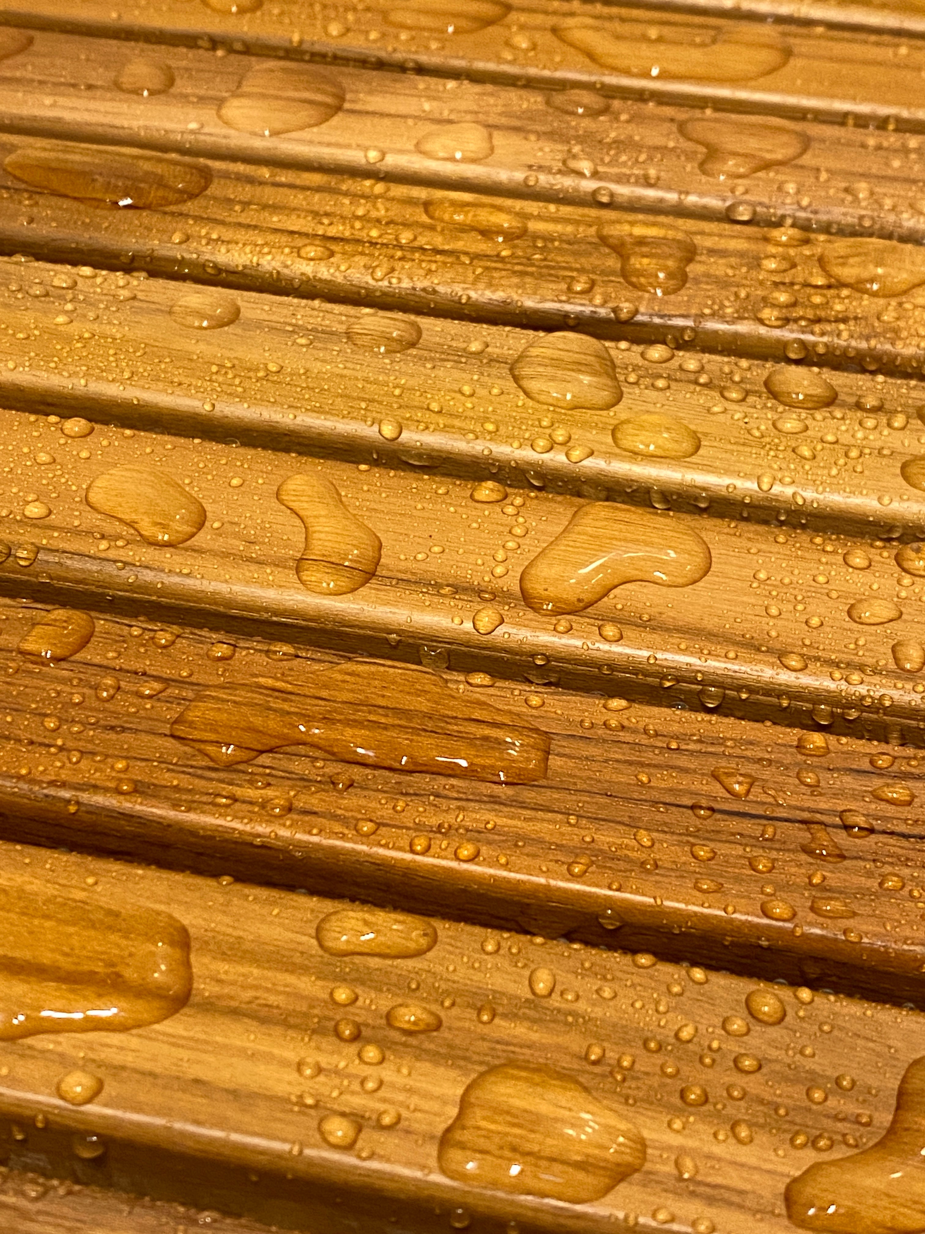Interstate 19 (all models) Teak Shower Mat